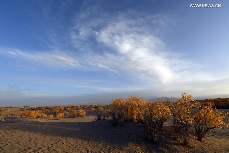 Paysages d'automne dans le Qinghai 