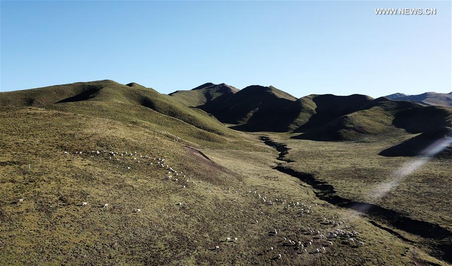 Paysages d'automne dans le Qinghai 