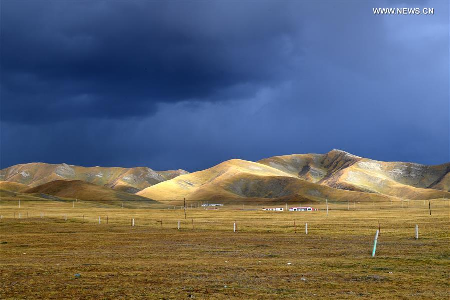 Paysages d'automne dans le Qinghai 