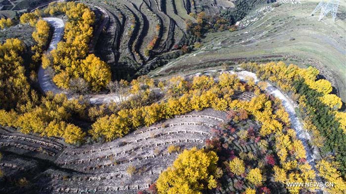 La Chine et ses magnifiques paysages 