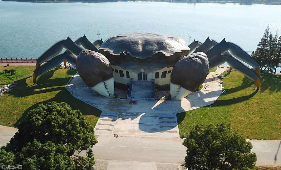 Un gigantesque crabe sur la rive d'un lac chinois