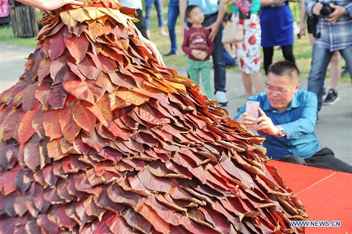 Une robe faite de feuilles d'automne dans le Guangdong 