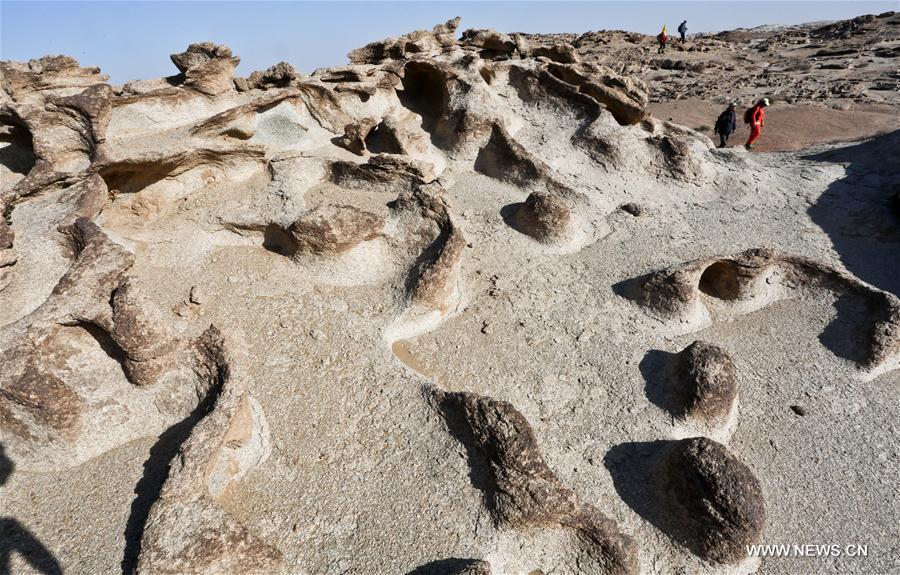 Visite touristique dans la région de Gobi