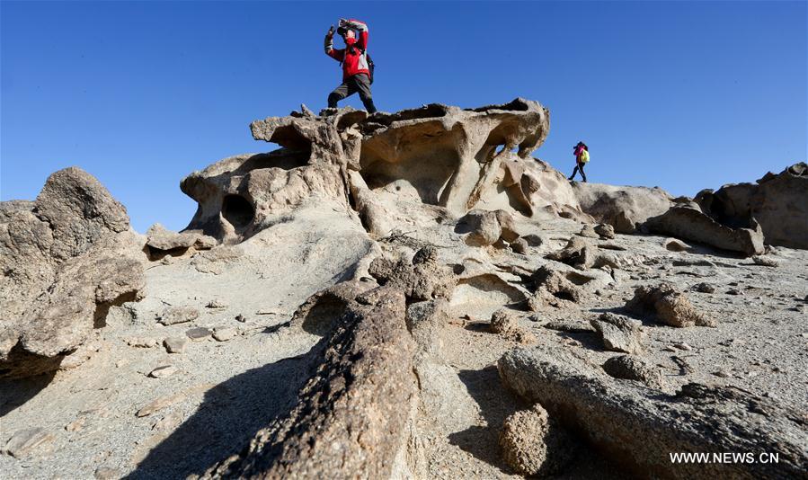 Visite touristique dans la région de Gobi