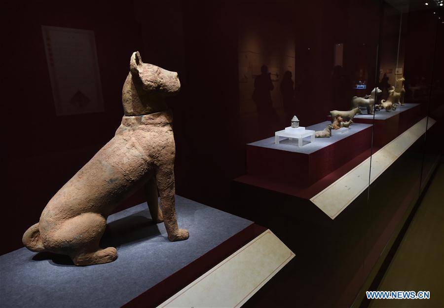 Chine : exposition de reliques culturelles sur le thème du chien à Nanjing