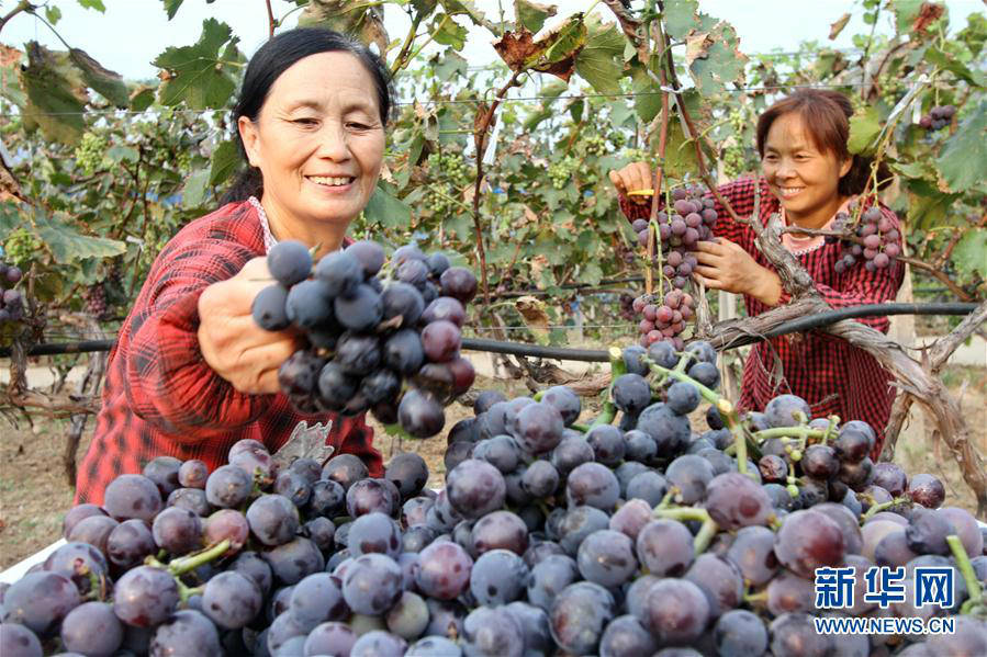 Développement et réforme : ce que le Hebei va faire en 2018