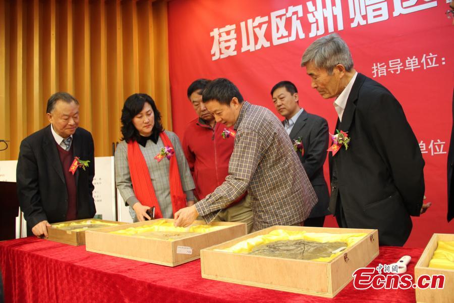 La France rend des fossiles à un musée du Liaoning