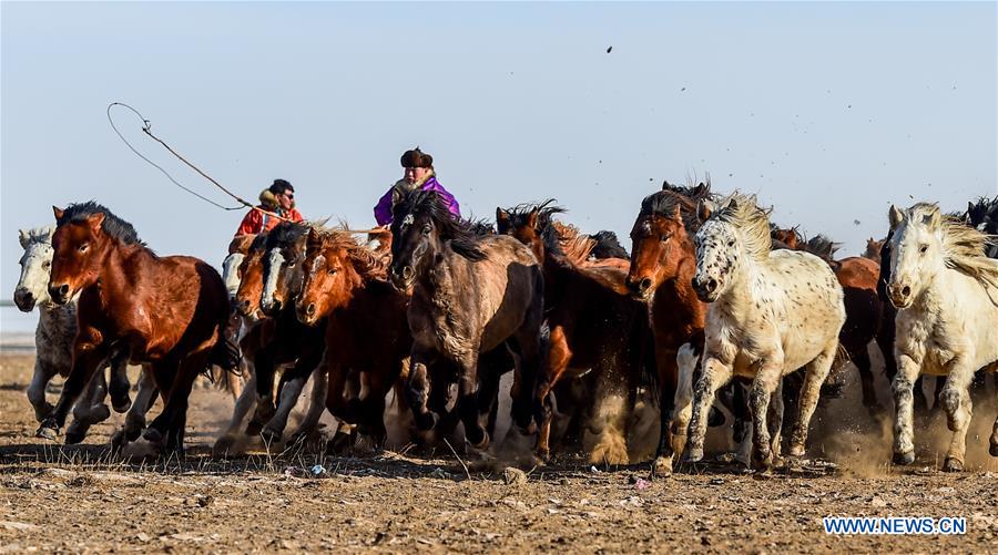 La Mongolie intérieure en pleine foire de Nadam