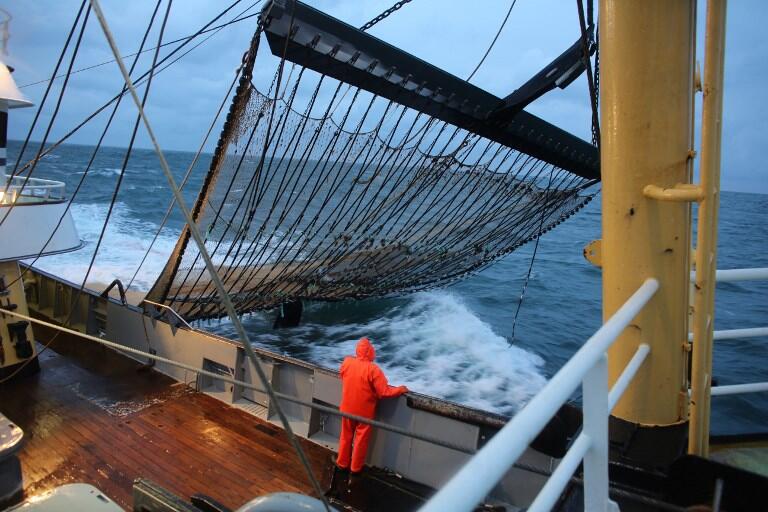 Le Parlement européen vote l'interdiction de la pêche à l'électricité