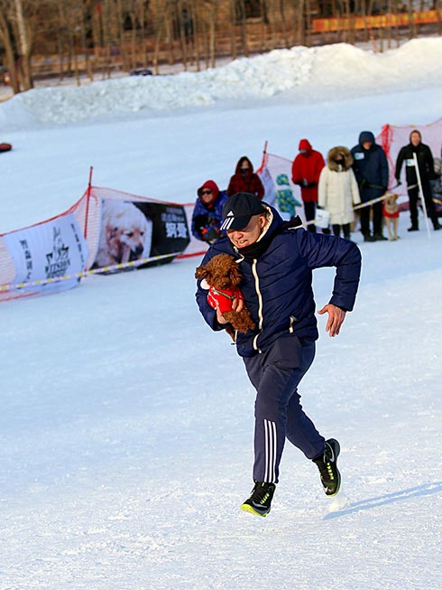 Des chiens en compétition sur la glace et la neige à Shenyang