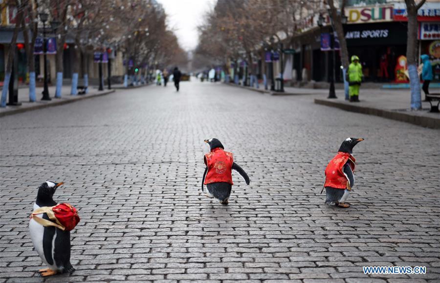 Des pingouins habillés en costumes Tang dans l'avenue centrale de Harbin