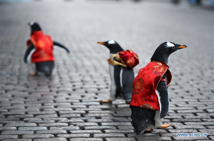 Des pingouins habillés en costumes Tang dans l'avenue centrale de Harbin