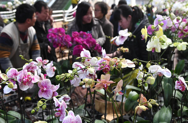 Les ventes de fleurs de la Saint-Valentin victimes de la Fête du Printemps