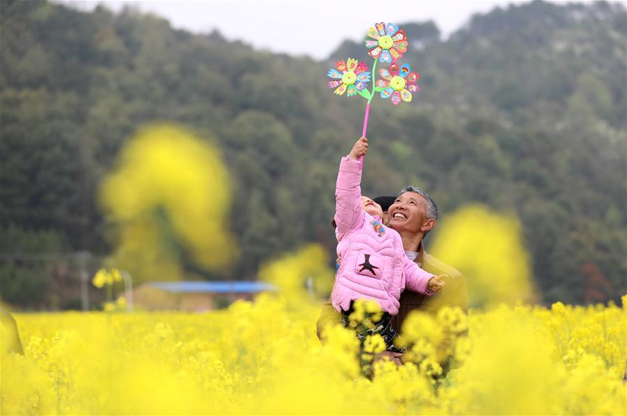 Hunan : un magnifique paysage de fleurs de colza