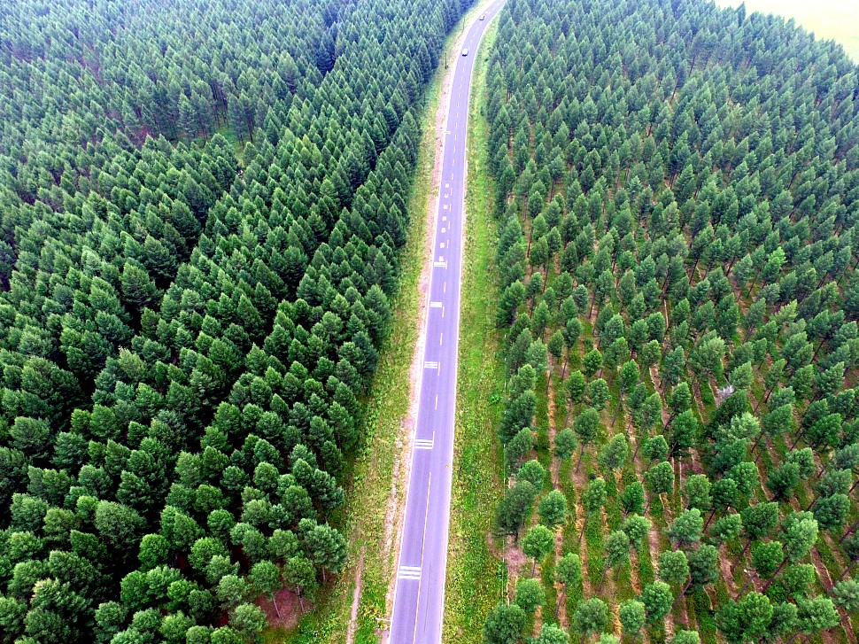 La Chine continue de promouvoir la construction d'une civilisation écologique