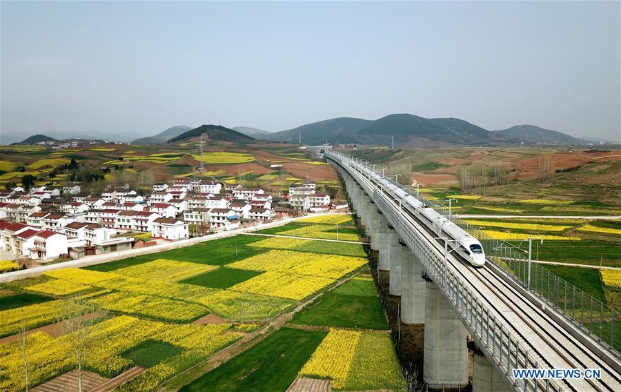 La beauté des paysages de fleurs de colza à travers la Chine