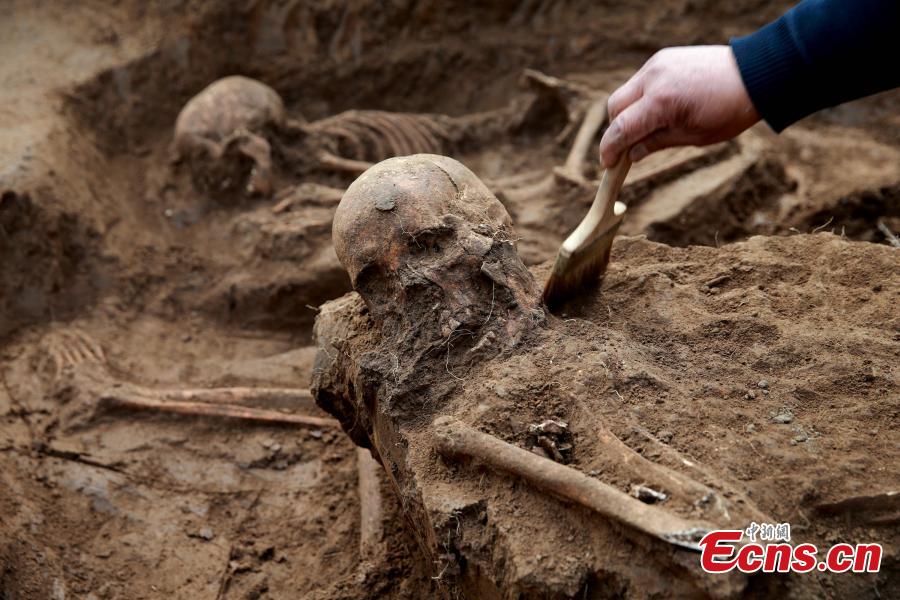 Des preuves de sacrifices humains découverts dans des ruines à Jinan