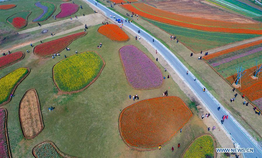 Le meilleur moment pour apprécier les fleurs de printemps en Chine