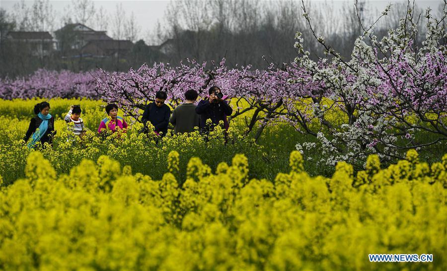 Le meilleur moment pour apprécier les fleurs de printemps en Chine