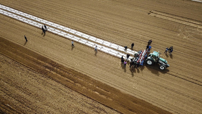 Xinjiang : des tracteurs autonomes remplacent l'homme pour les travaux agricoles