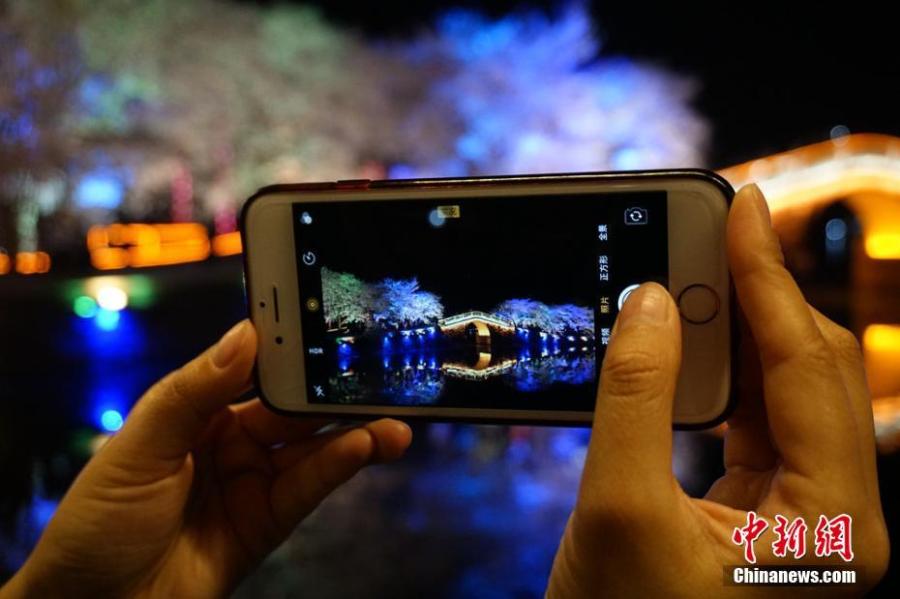 Wuxi : la beauté des fleurs de cerisier dans la nuit