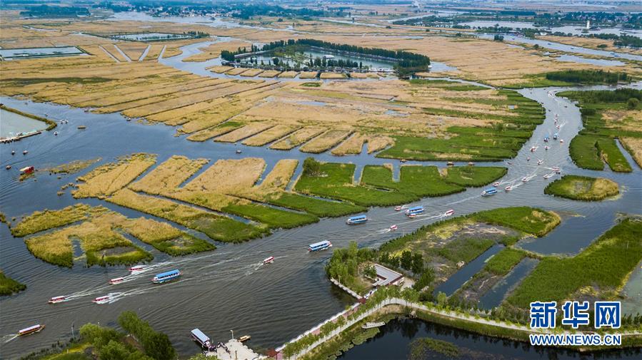 Les paysages de Baiyangdian dans la Nouvelle Zone de Xiongan