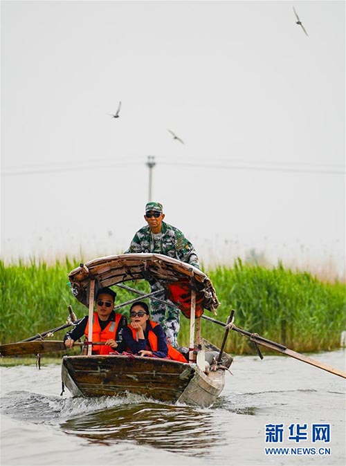 Les paysages de Baiyangdian dans la Nouvelle Zone de Xiongan