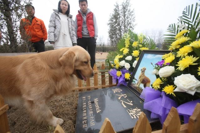 De plus en plus de ma?tres prêts à payer le prix fort pour faire enterrer leurs animaux