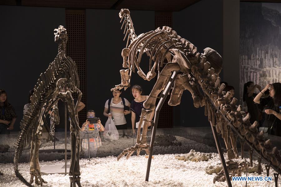 Journée internationale des musées célébrée en Chine