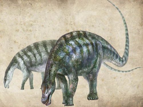 Découvertes de nouvelles espèces de dinosaure