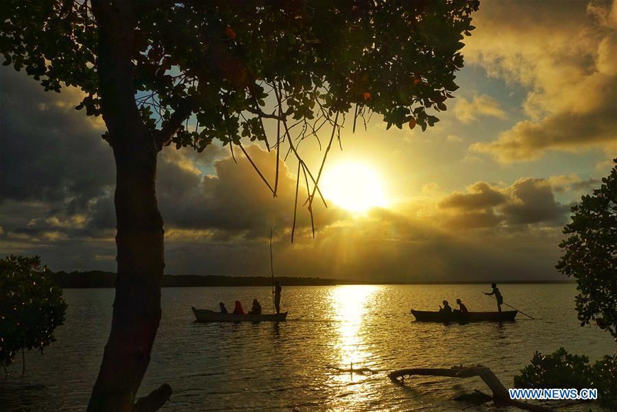 De beaux paysages d'Afrique