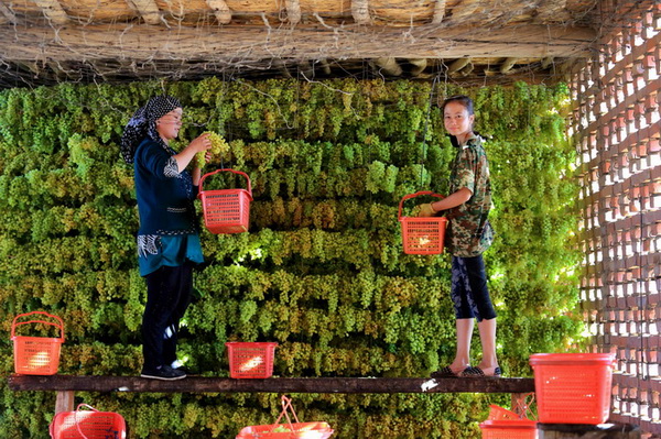 La fête des raisins revient à Tourfan