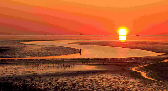 Les couleurs éclatantes de l'automne illuminent l'estuaire du fleuve Jaune 