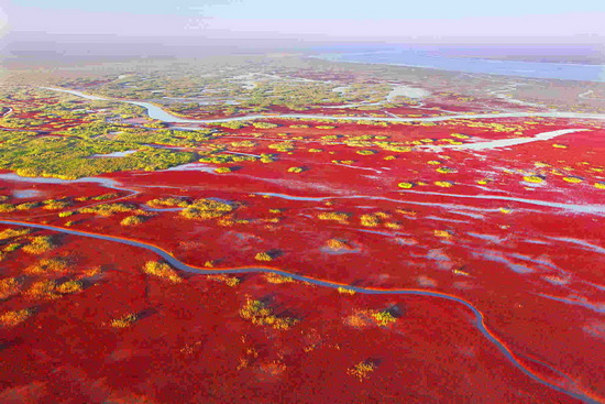 Les couleurs éclatantes de l'automne illuminent l'estuaire du fleuve Jaune 