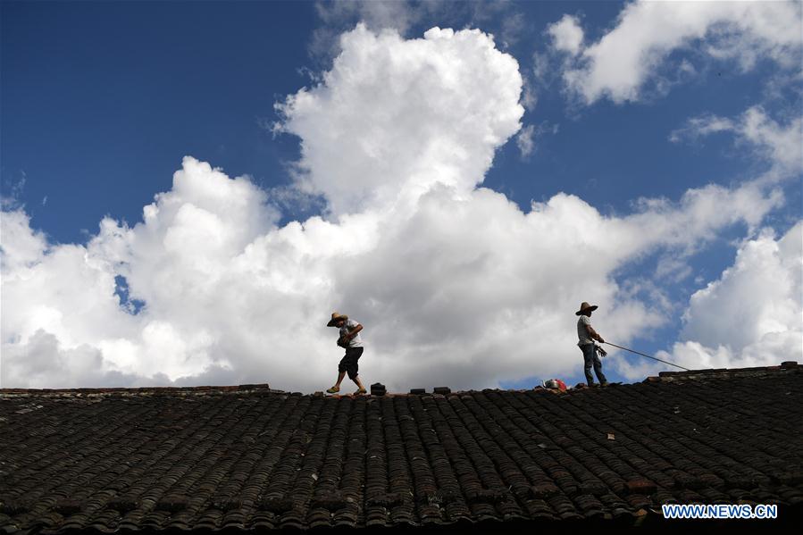 Réparations après le passage du typhon Mangkhut dans le sud de la Chine