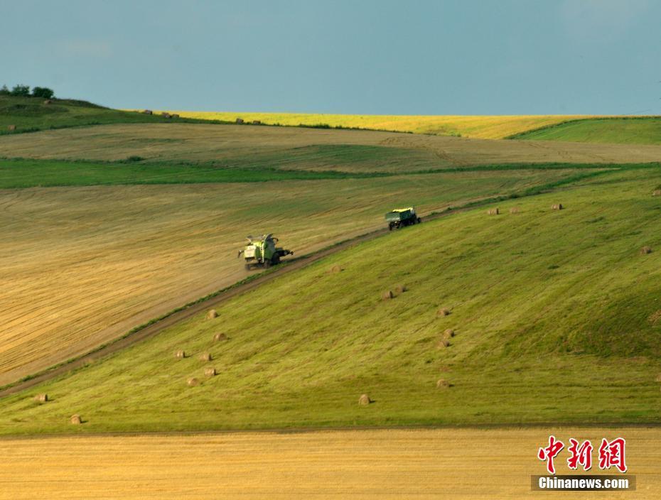 Le premier Festival des récoltes des agriculteurs de Chine en photos