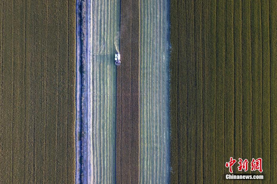 Le premier Festival des récoltes des agriculteurs de Chine en photos