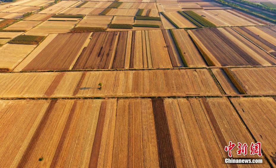 Le premier Festival des récoltes des agriculteurs de Chine en photos