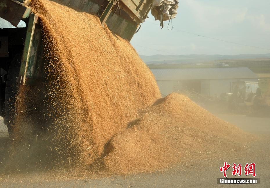 Le premier Festival des récoltes des agriculteurs de Chine en photos