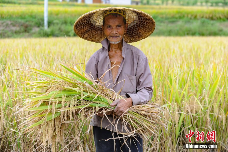 Le premier Festival des récoltes des agriculteurs de Chine en photos