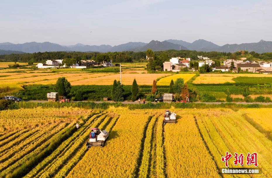 Le premier Festival des récoltes des agriculteurs de Chine en photos