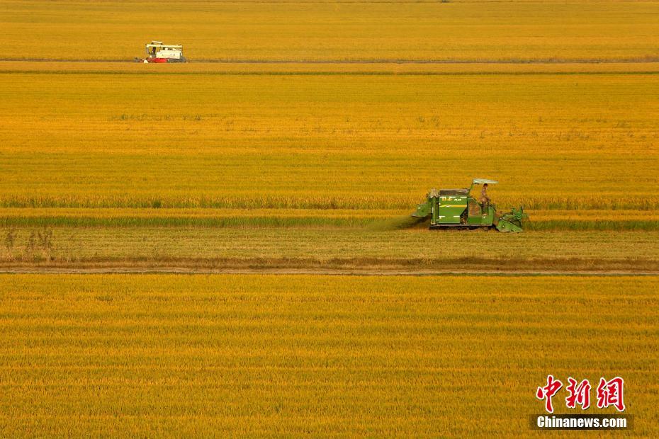 Le premier Festival des récoltes des agriculteurs de Chine en photos