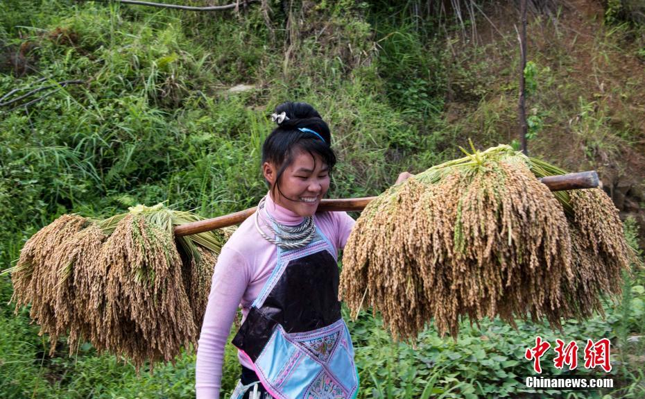 Le premier Festival des récoltes des agriculteurs de Chine en photos