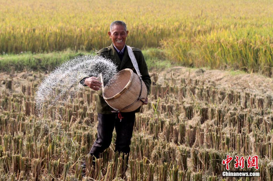 Le premier Festival des récoltes des agriculteurs de Chine en photos