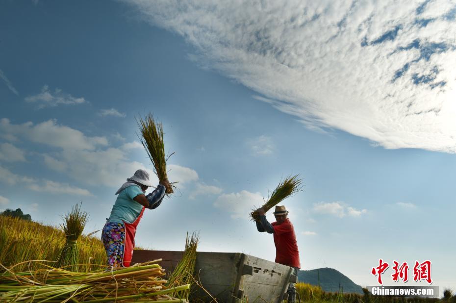 Le premier Festival des récoltes des agriculteurs de Chine en photos