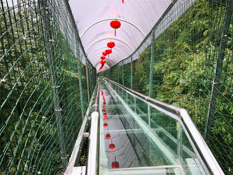 Jiangsu : un toboggan en acier et en verre dans le village de Huaxi