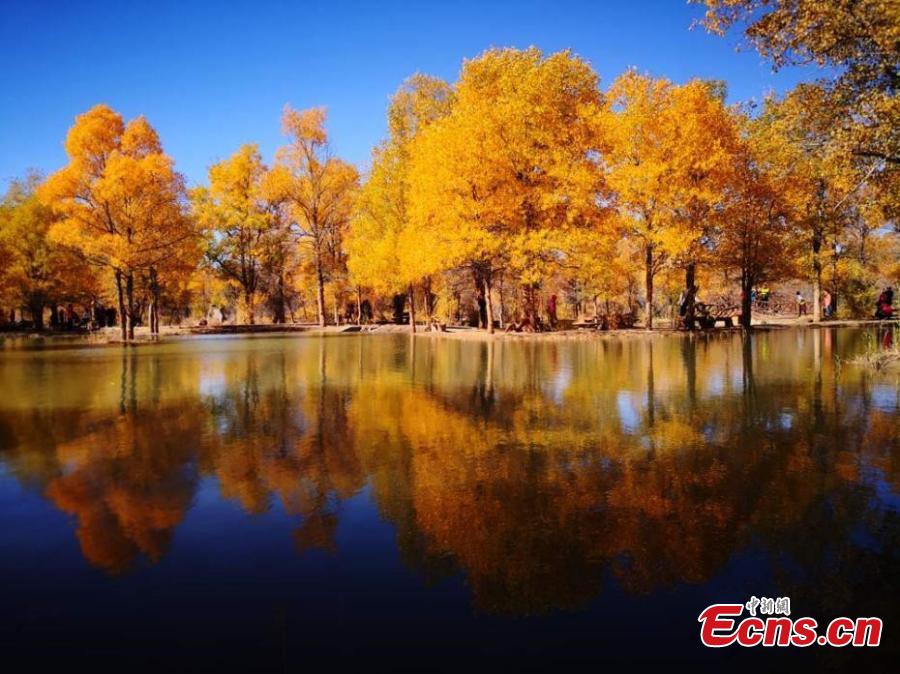 Les couleurs de l'automne attirent les touristes