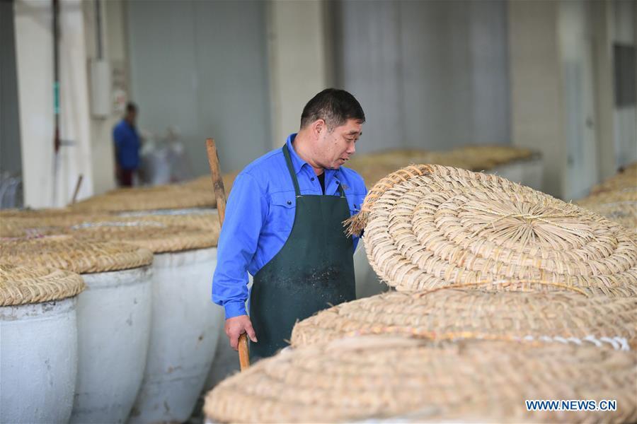 La fabrication du vin de riz traditionnel à Shaoxing