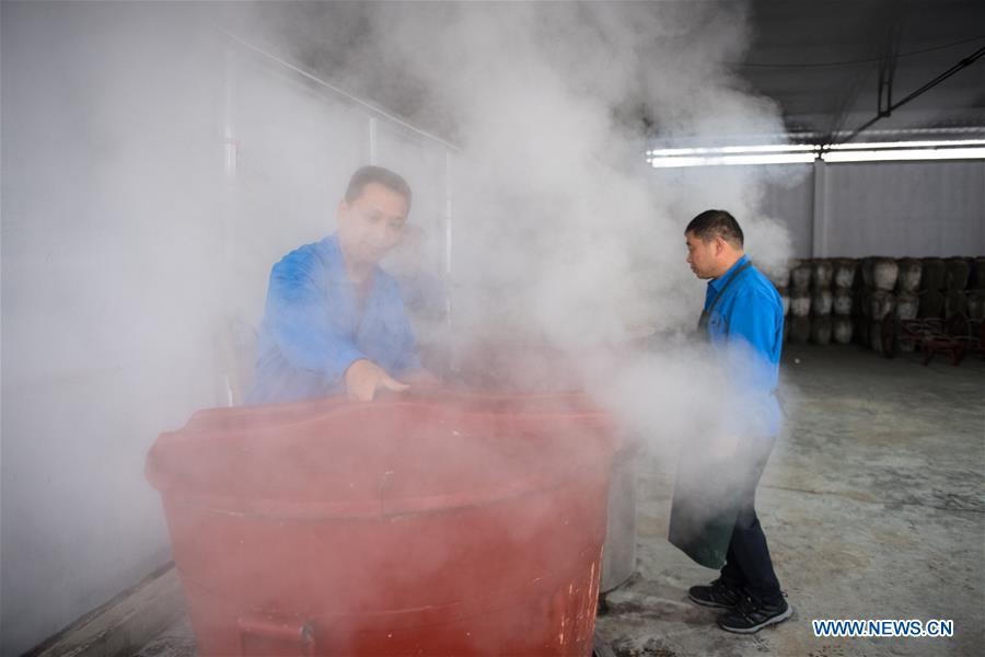 La fabrication du vin de riz traditionnel à Shaoxing