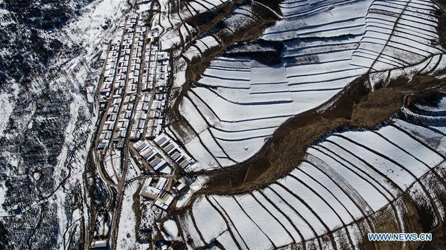 Chine: paysage d'hiver d'un parc forestier au Qinghai 